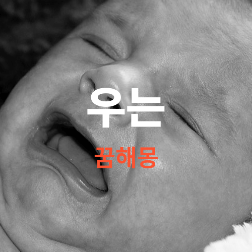 우는 꿈해몽, 꿈에 크게 우는 것은 길몽이고, 흐느끼며 우는 것은 흉몽입니다.