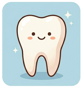 웃고있는 치아 모형