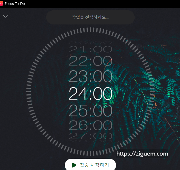 뽀모도르