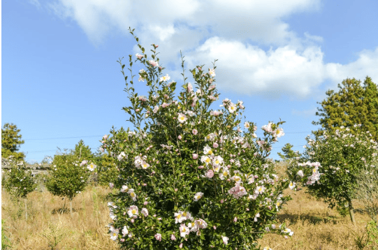겨울 여행지 추천