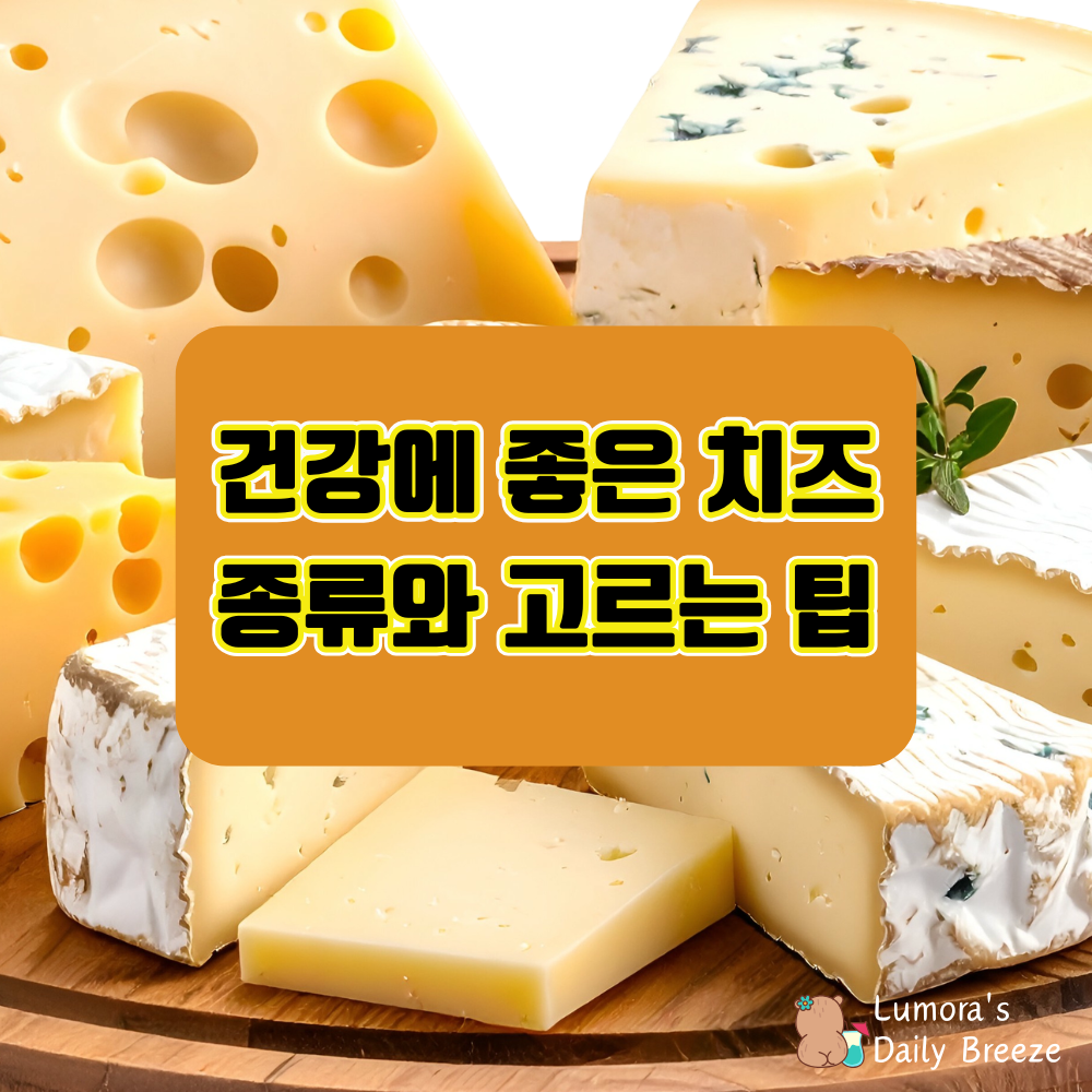 건강에 좋은 치즈 종류 총정리 - 자연치즈부터 가공치즈까지 선택 가이드