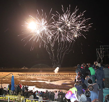 2024 강진만 춤추는 갈대축제