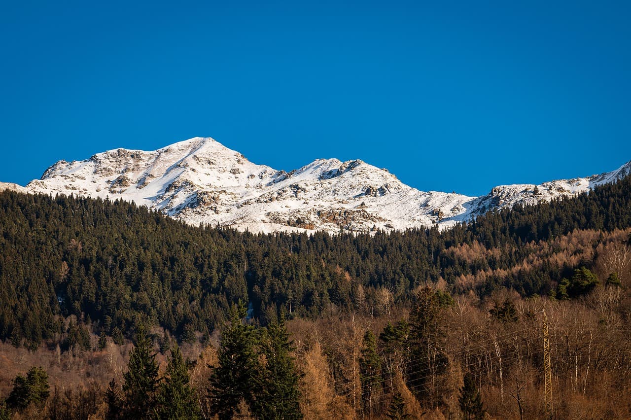 병원에서 파란색과 녹색을 사용하는 이유 – 색채 심리학과 의료 환경