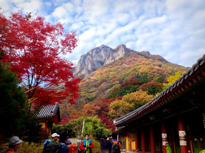 전라도 가을 여행지 추천 : 단풍으로 물든 힐링 코스 10선 (2025 최신판)