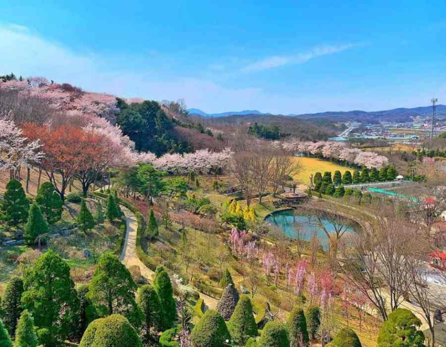 베어트리파크 철쭉제 봄과 철쭉