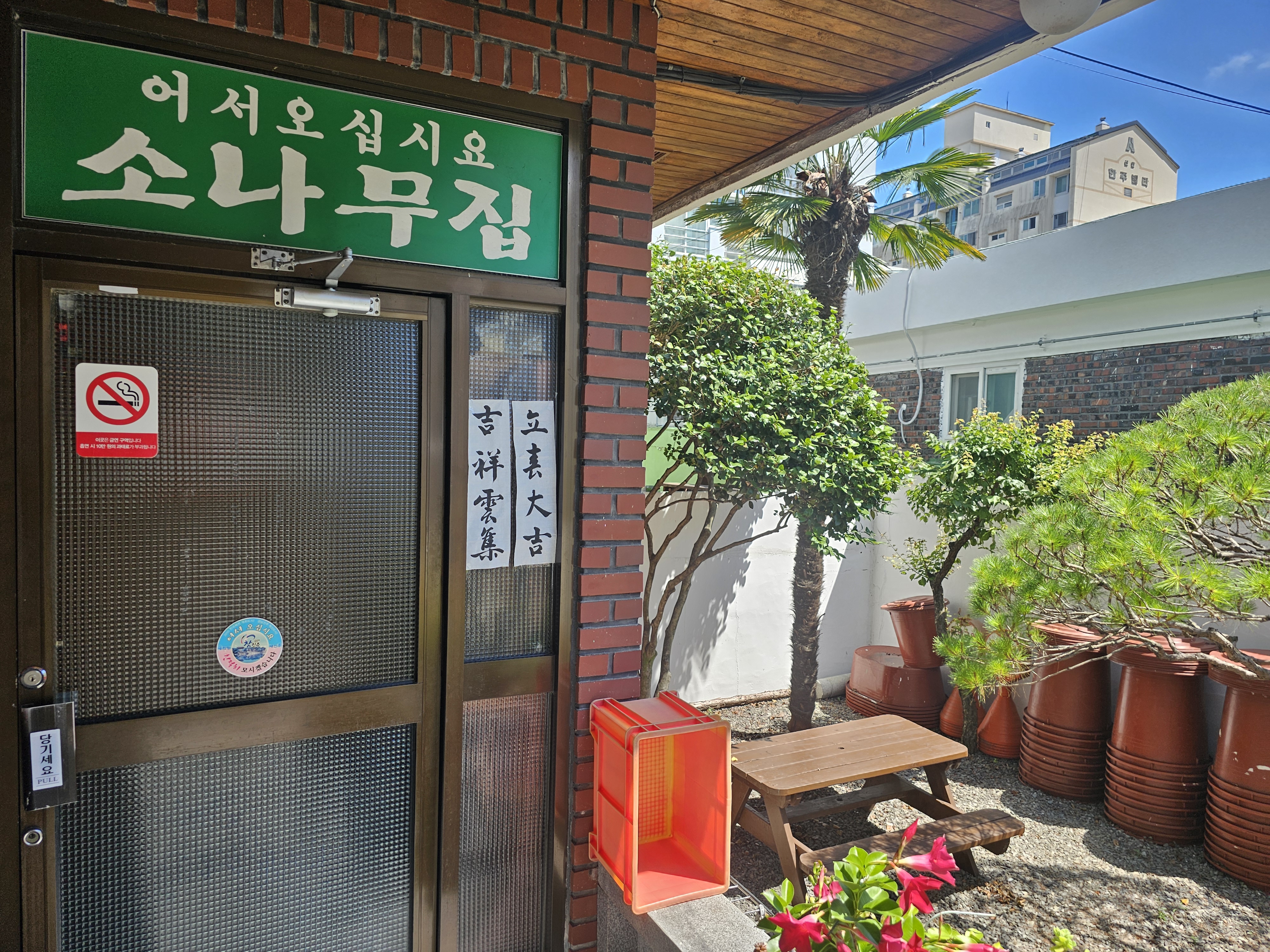진주 신안동 소나무집 입구와 정원, 항아리와 소나무가 있는 전경