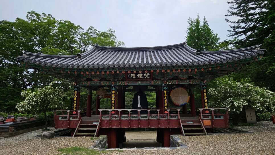 금산 보석사 : 1,100년 은행나무와 전나무 숲길이 주는 위로