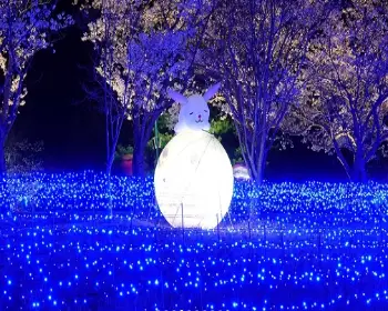 영암왕인문화축제_13