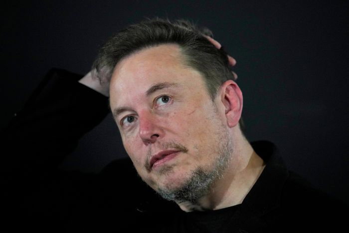 머스크 합병 검토