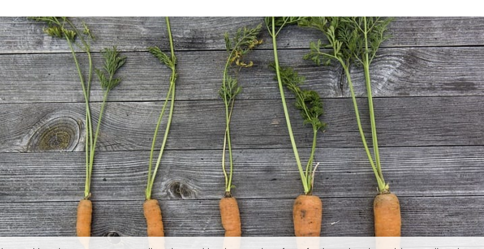 당근의 자라는 크기비교사진