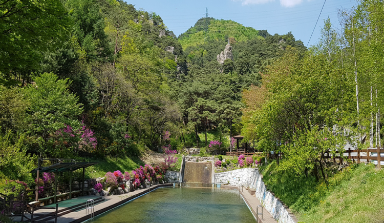 박달재 자연휴양림