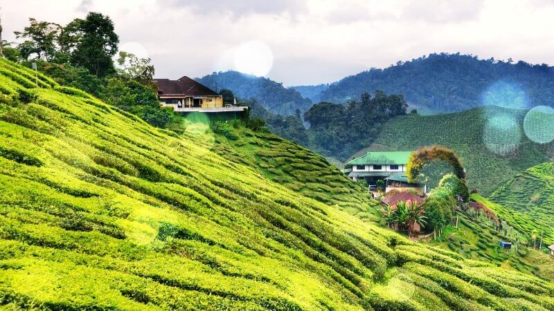 아름다운-말레이시아-자연풍경