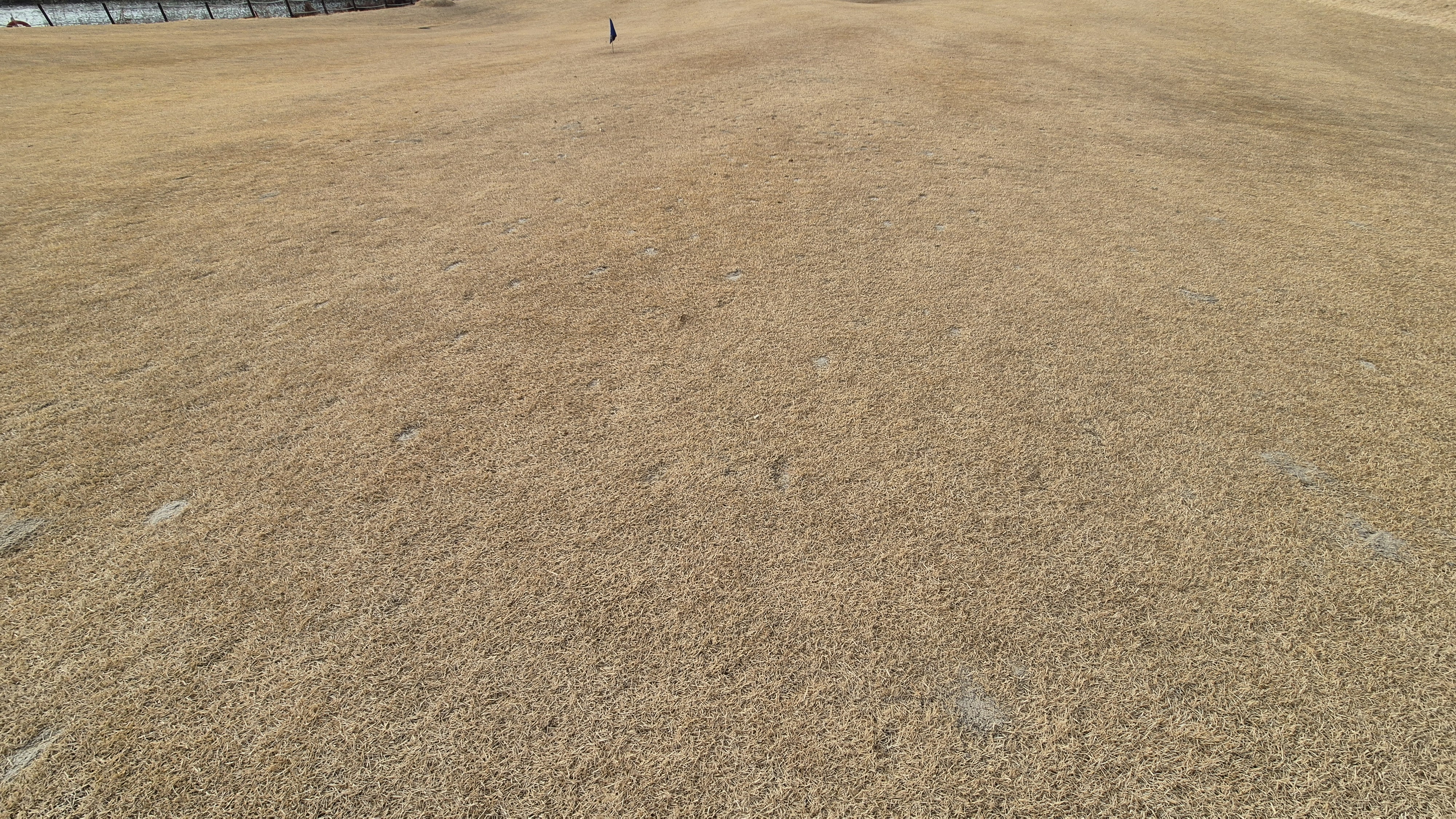 모나크cc 라운드 후기 코스관리상태