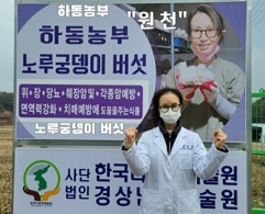 하동농부-노루궁뎅이버섯