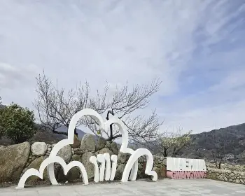 매화꽃 개화시기_2