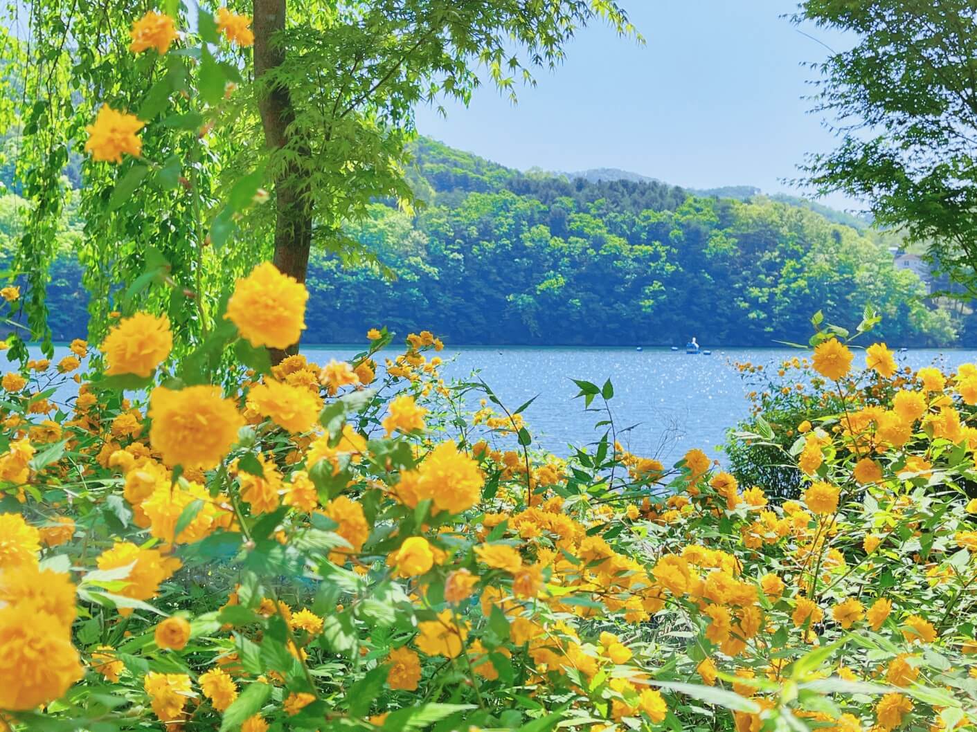 강원도 춘천 가볼만한 곳