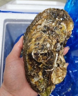 삼베체굴-복만수산