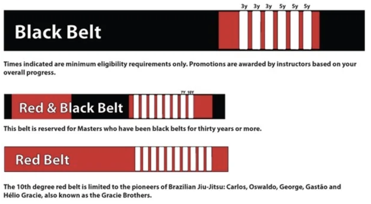 주짓수 레드 벨트