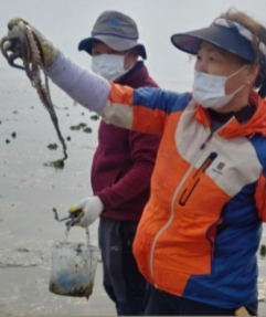 삽시도 어촌체험마을