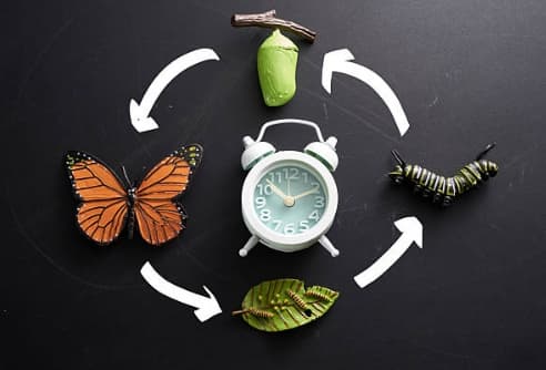 귀농준비 1년 타임라인 : 시기별 계획, 실행, 점검