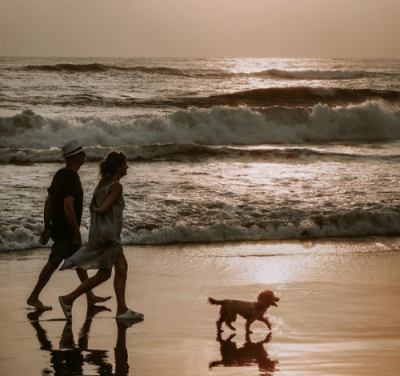 혈당 관리를 위한 산책