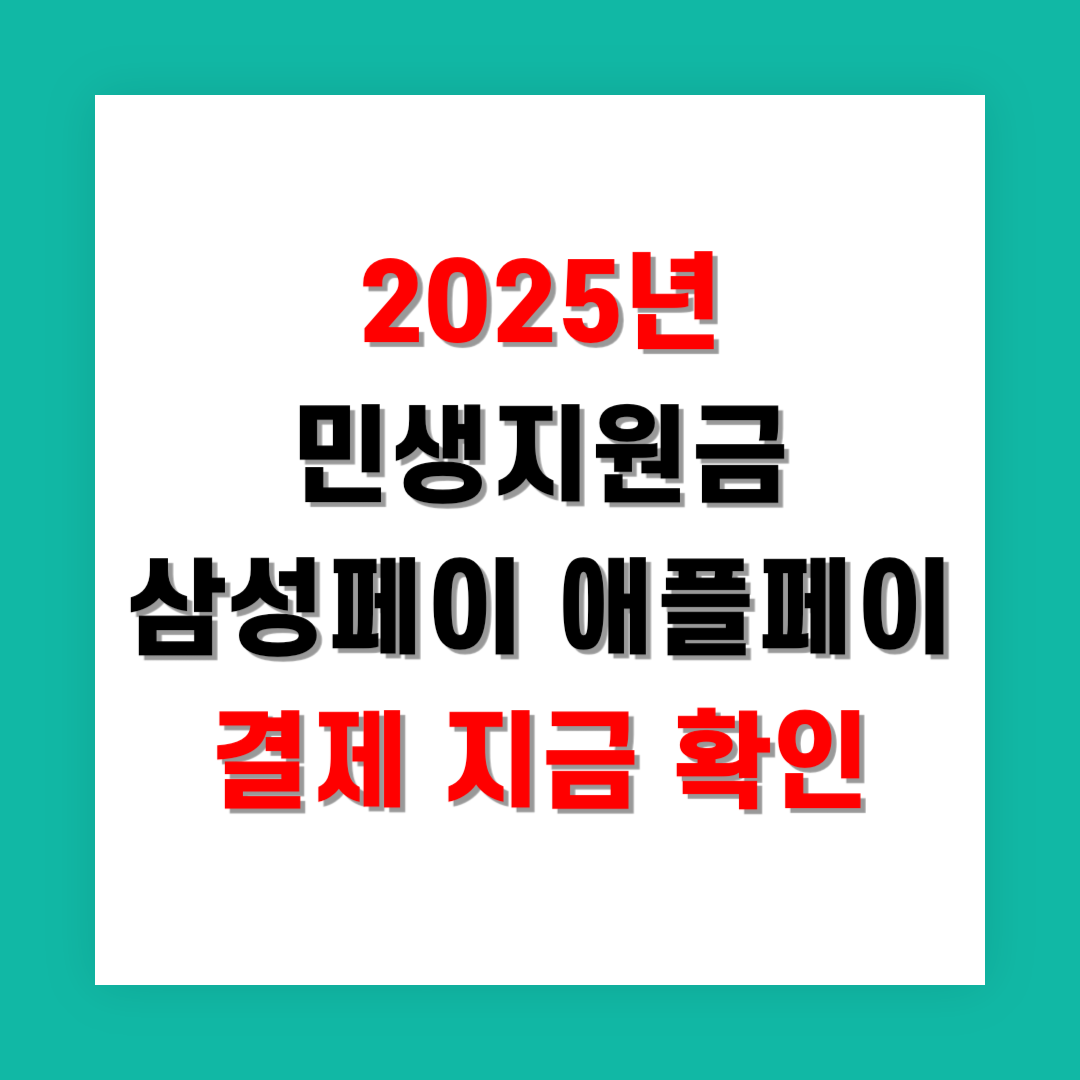 2025년 민생지원금 삼성페이 애플페이 결제 지금 확인