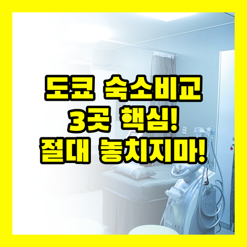 나만 모르던 도쿄 3대 최적 숙소 위..