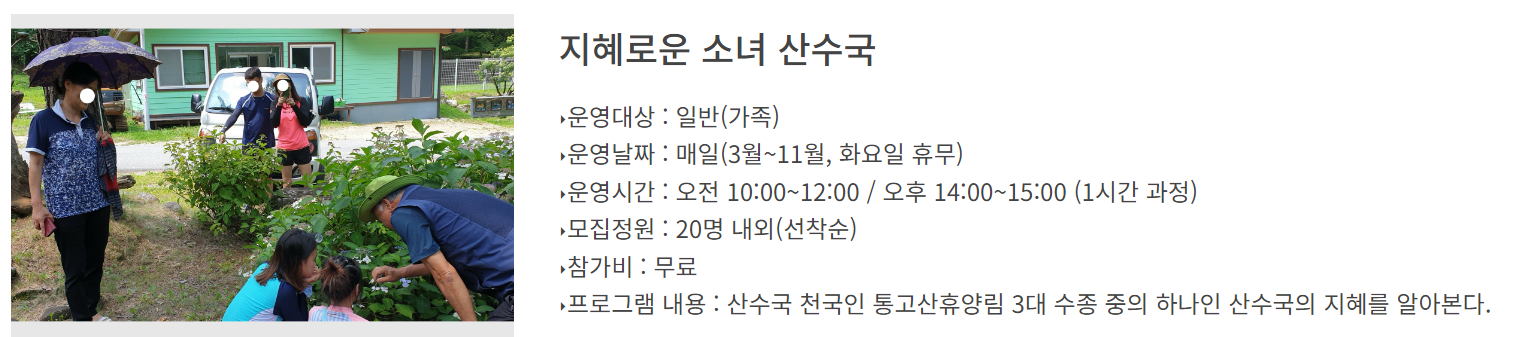통고산 자연휴양림