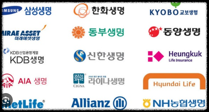 실손보험, 간ㄴ병보험. CI보험
간병비