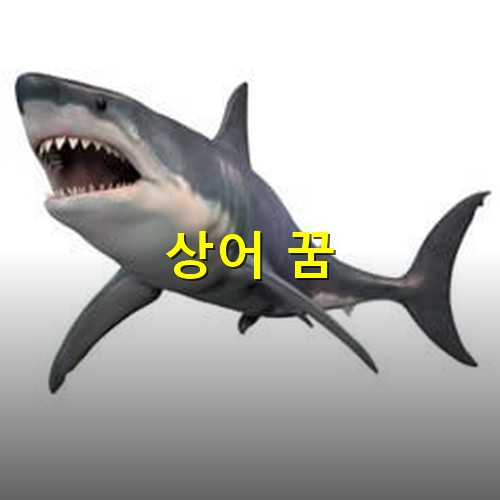 커다란-상어가-화가-났는지-입을-벌리며-앞으로-나아가는-모습