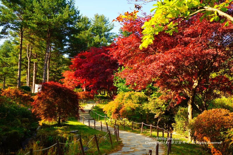 아침고요수목원: 정원미와 색채 레이어