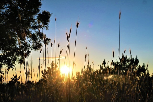 [잊지 않겠습니다 4.16] 세월호 참사 11주기 추모 일정&amp;#44; 방문 방법&amp;#44; 온라인 기억관 참여 안내