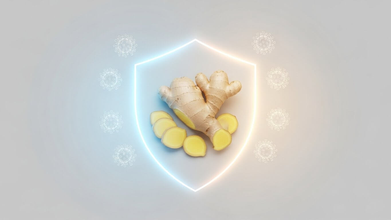 항바이러스 작용 &ndash; 자연의 방어막