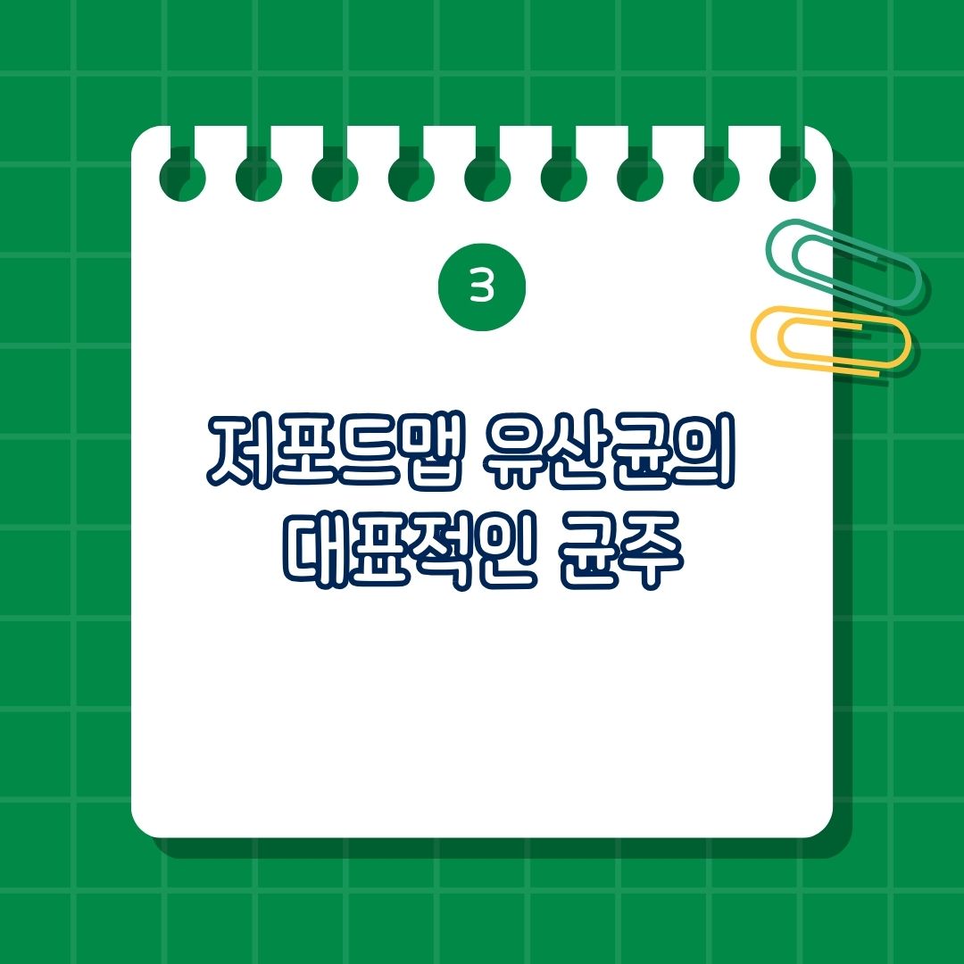 저포드맵(FODMAP) 유산균, bnr17 유산균, 셀티아이유산균, 바이오코어 유산균, 100억 유산균, 저포드맵 식단 유산균, 저포드맵 식이요법 유산균, 저포드맵 유산균의 대표적인 균주
