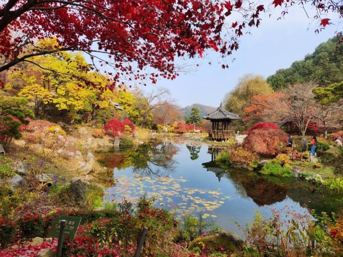 아침고요수목원