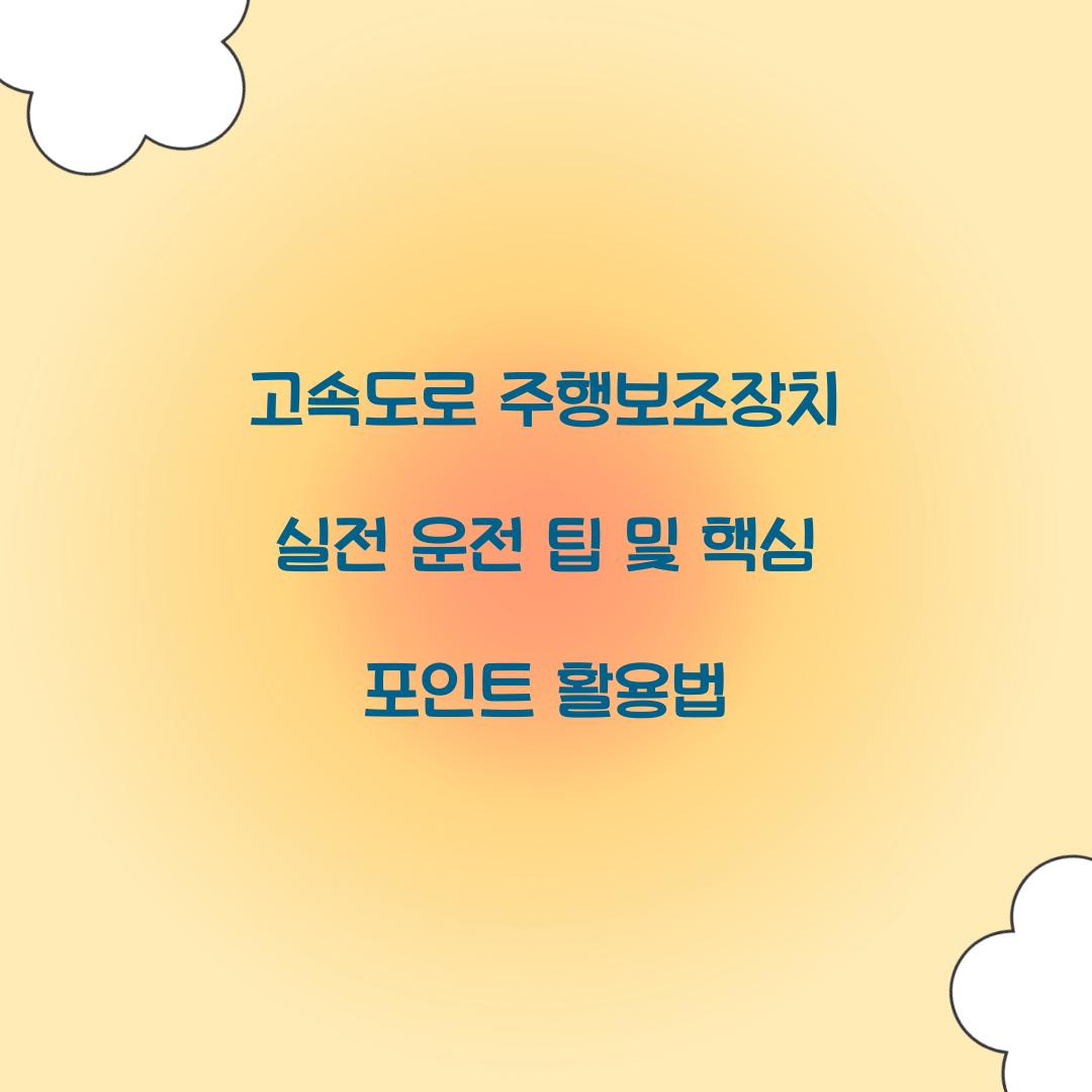 고속도로 주행보조장치