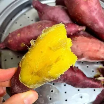 고구마 삶는법 맛있게 황금레시피 효능 칼로리_25