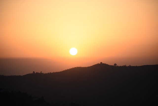 서울 하늘공원 해돋이 맹꽁이열차 운행 꿀팁