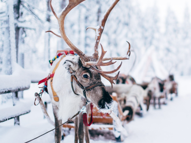 핀란드 로바니에미 산타마을