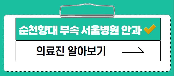 이성진 교수