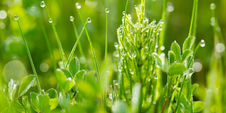 계절의 변화를 세분화한 24 절기 중 '백로' 이해하기