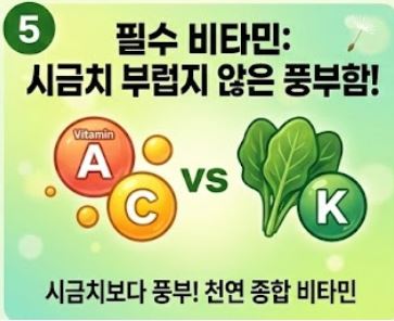 민들레 효능