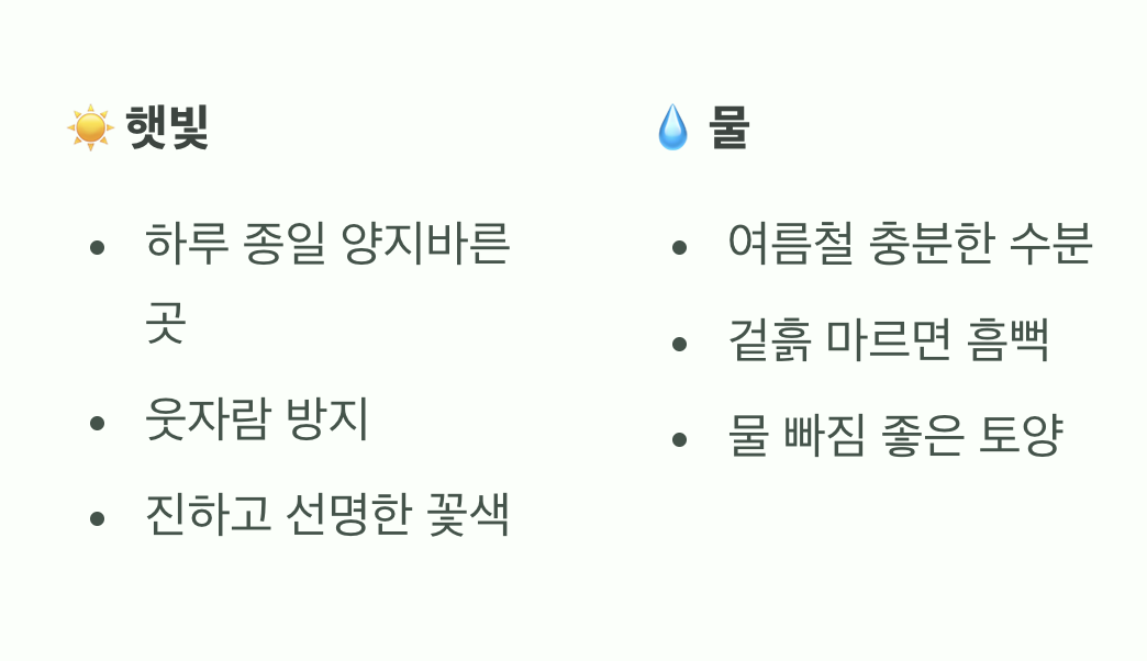 햇빛과 물을 사랑하는 순둥이