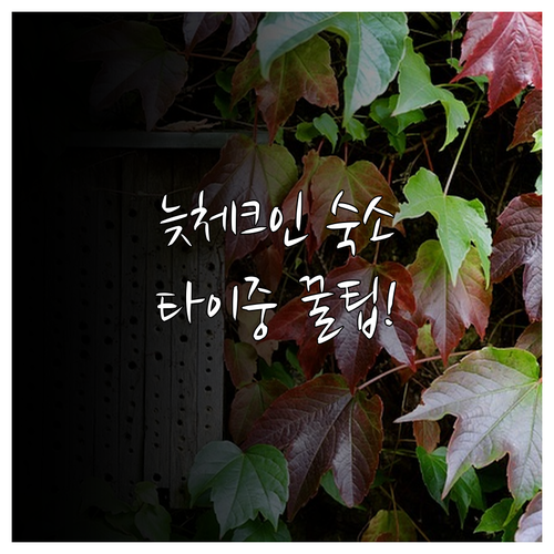 타이중 호텔 비교 서구 시툰구 장단점..