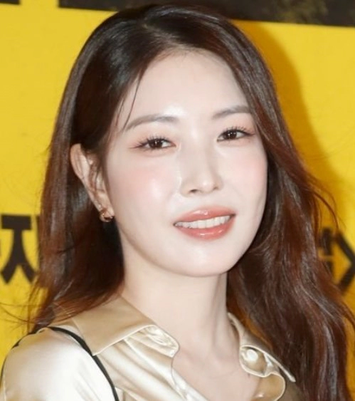 보아 은퇴 발언 이유