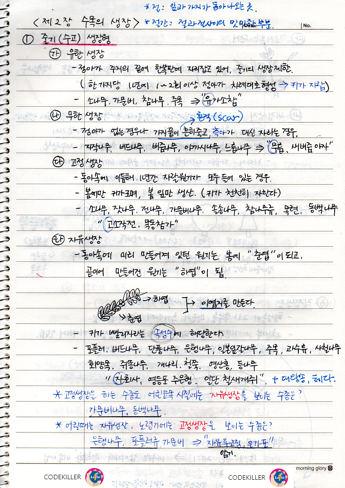 수목의 생장