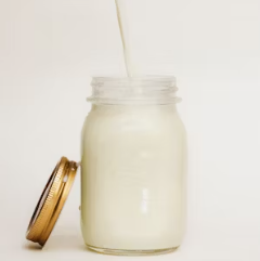 통풍에 좋은 음식 영양제 식단