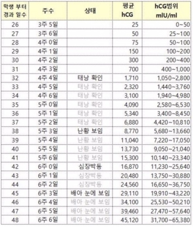 피검수치 hcg