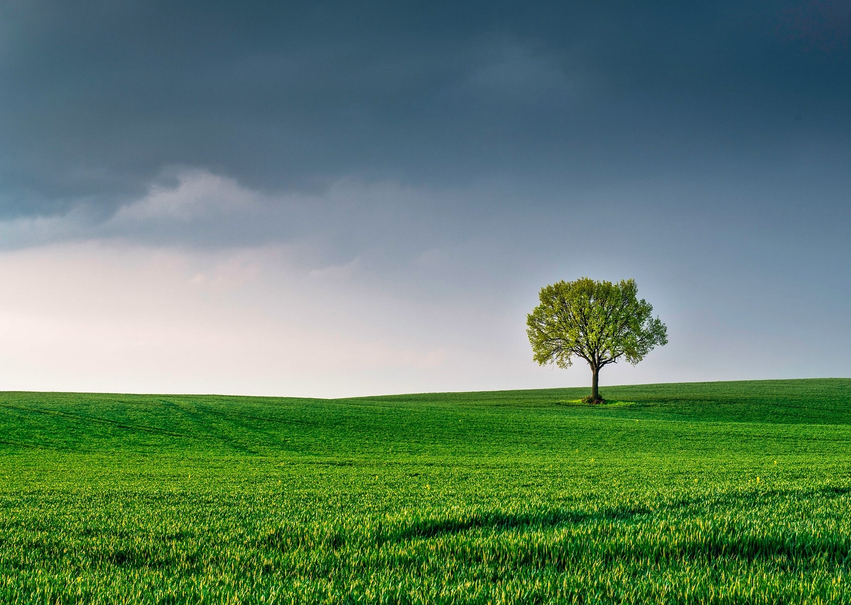 중년 1인가구, 외로움보다 더 위험한 것은 이것이다
