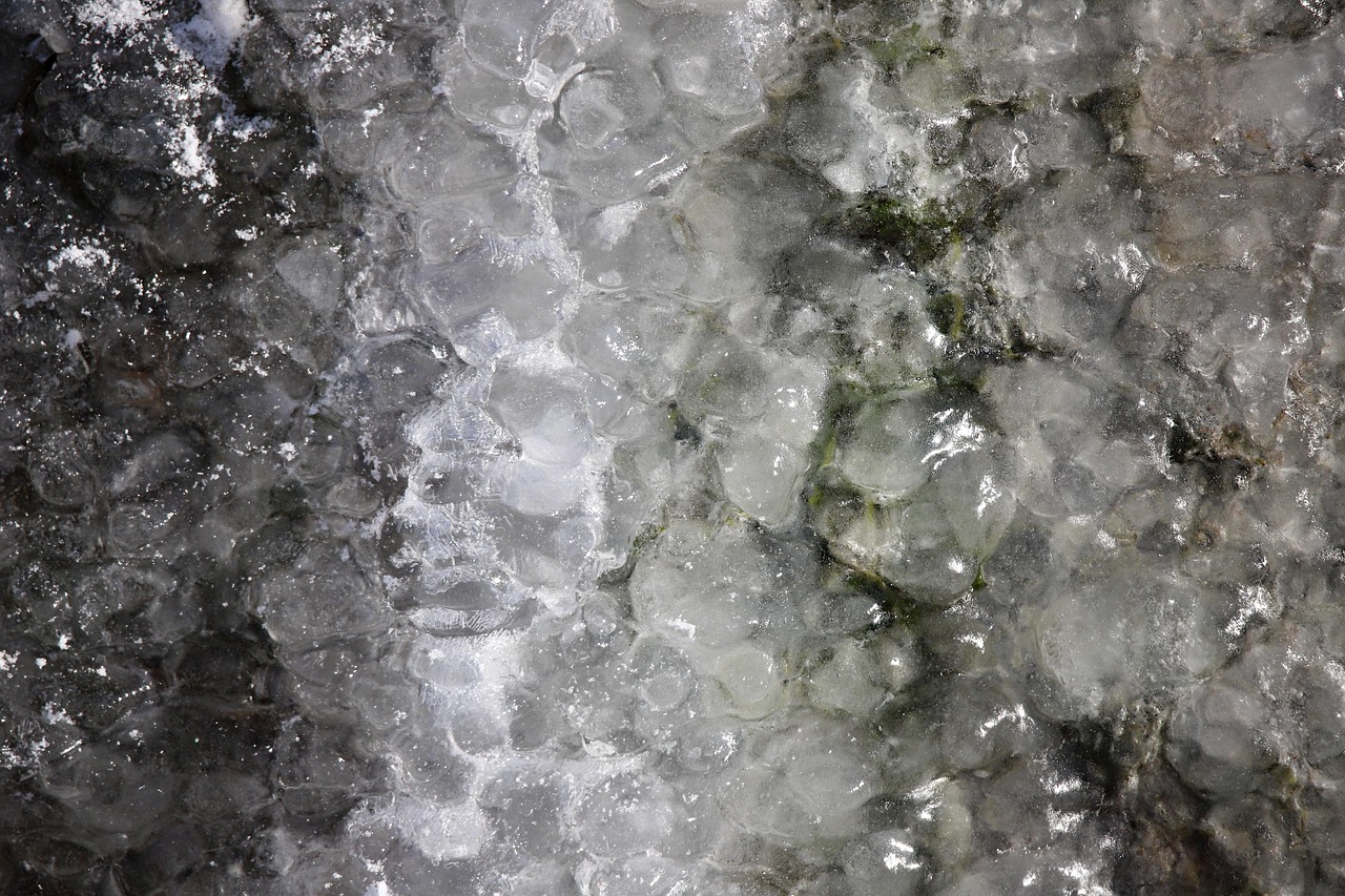 아이스팩 이미지